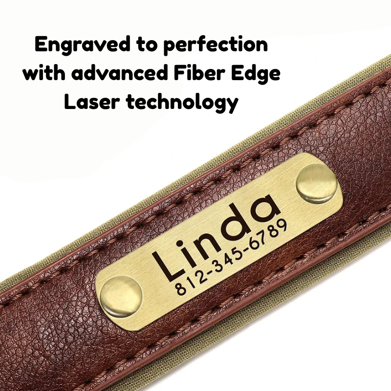 Official Identity Collar (Classic Edition 2025)