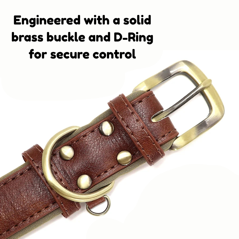 Official Identity Collar (Classic Edition 2025)