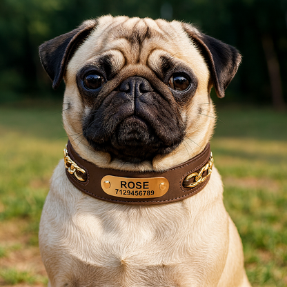 Official Calming Doggo Collar (Braided Metal Edition 2025)