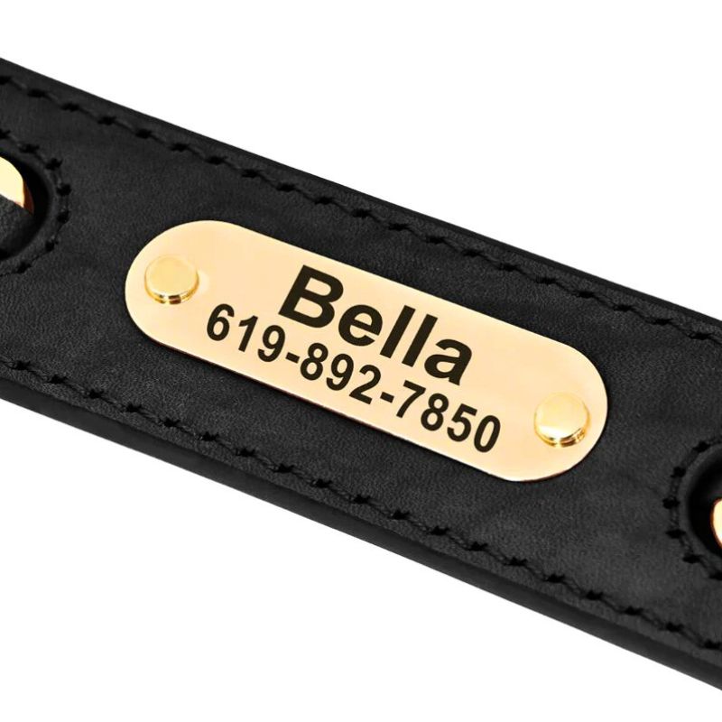 Official Calming Doggo Collar (Braided Metal Edition 2025)