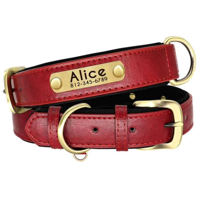 Personalised Leather Dog Collar With Name & Phone Number UK - Custom Dog Collar UK - Red